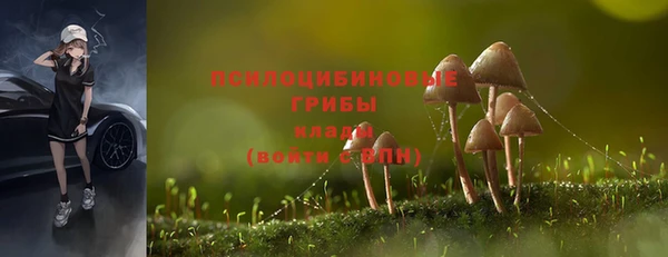 стафф Нея