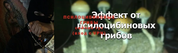 бутик Новозыбков