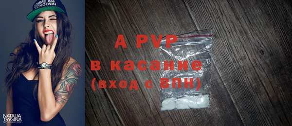 амф Новодвинск