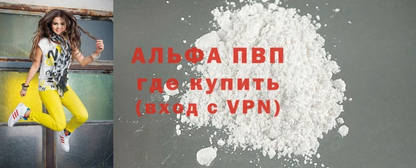 амф Новодвинск
