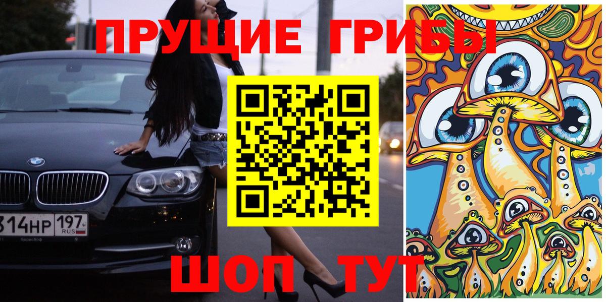 Псилоцибиновые грибы мицелий Жуковский