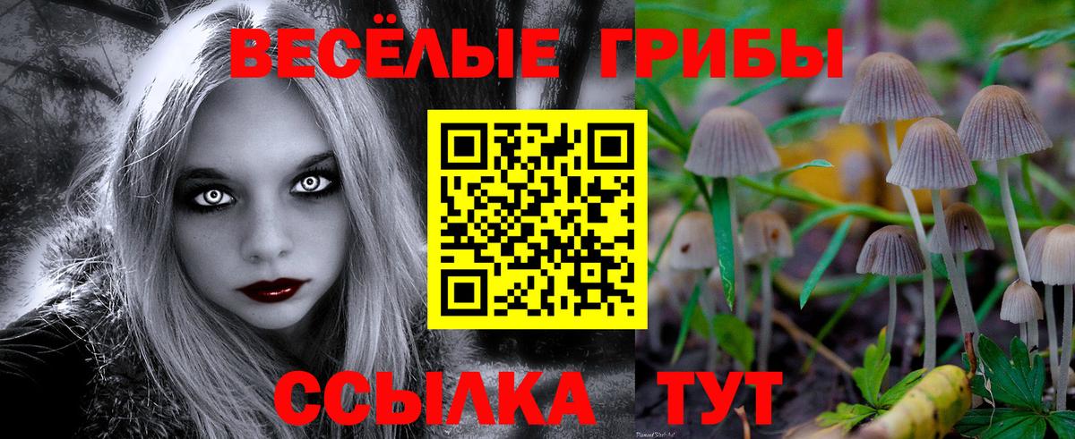 Псилоцибиновые грибы Cubensis Жуковский